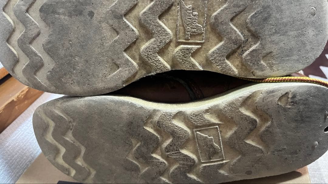 レッドウイング　アイリッシュセッター　8131 26.5