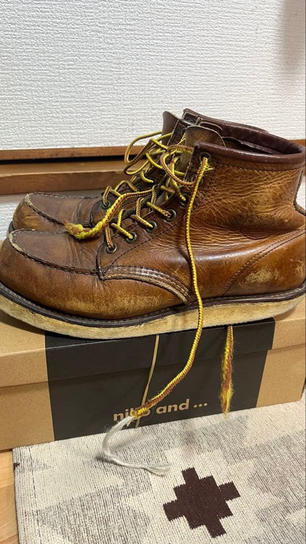 レッドウイング　アイリッシュセッター　8131 26.5