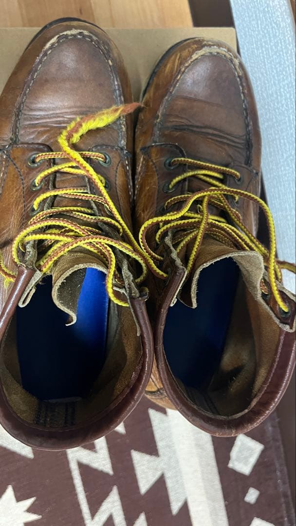 レッドウイング　アイリッシュセッター　8131 26.5