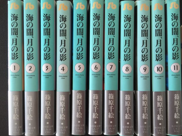 海の闇、月の影 第1〜11巻