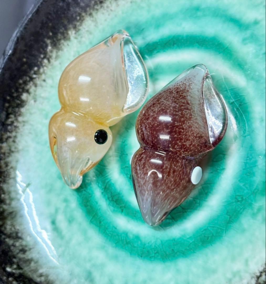ガラスのホタルイカ 2個セット(生、ボイル)