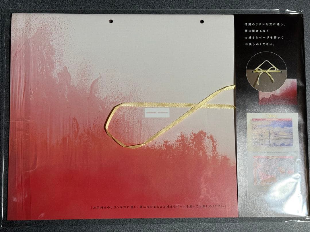 映画　落下の王国　the fall 初回限定版　パンフレット　新品未開封品