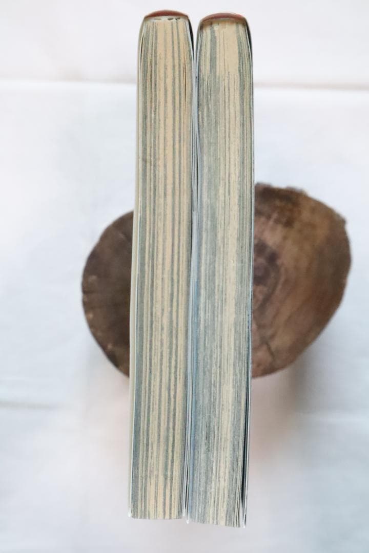 デビルメイクライ3 全2巻 茶屋町勝呂著　/全巻セット