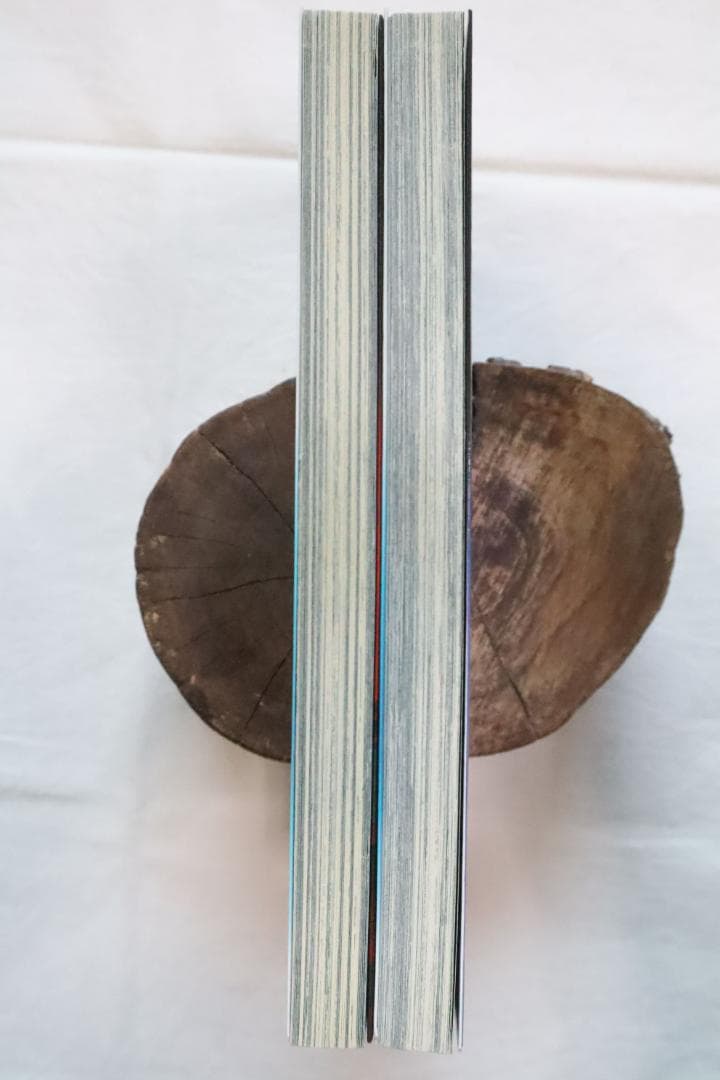 デビルメイクライ3 全2巻 茶屋町勝呂著　/全巻セット