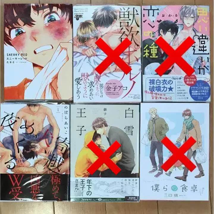 BL 思い違いが恋の種☆夜越す犬、めくる夜1 他