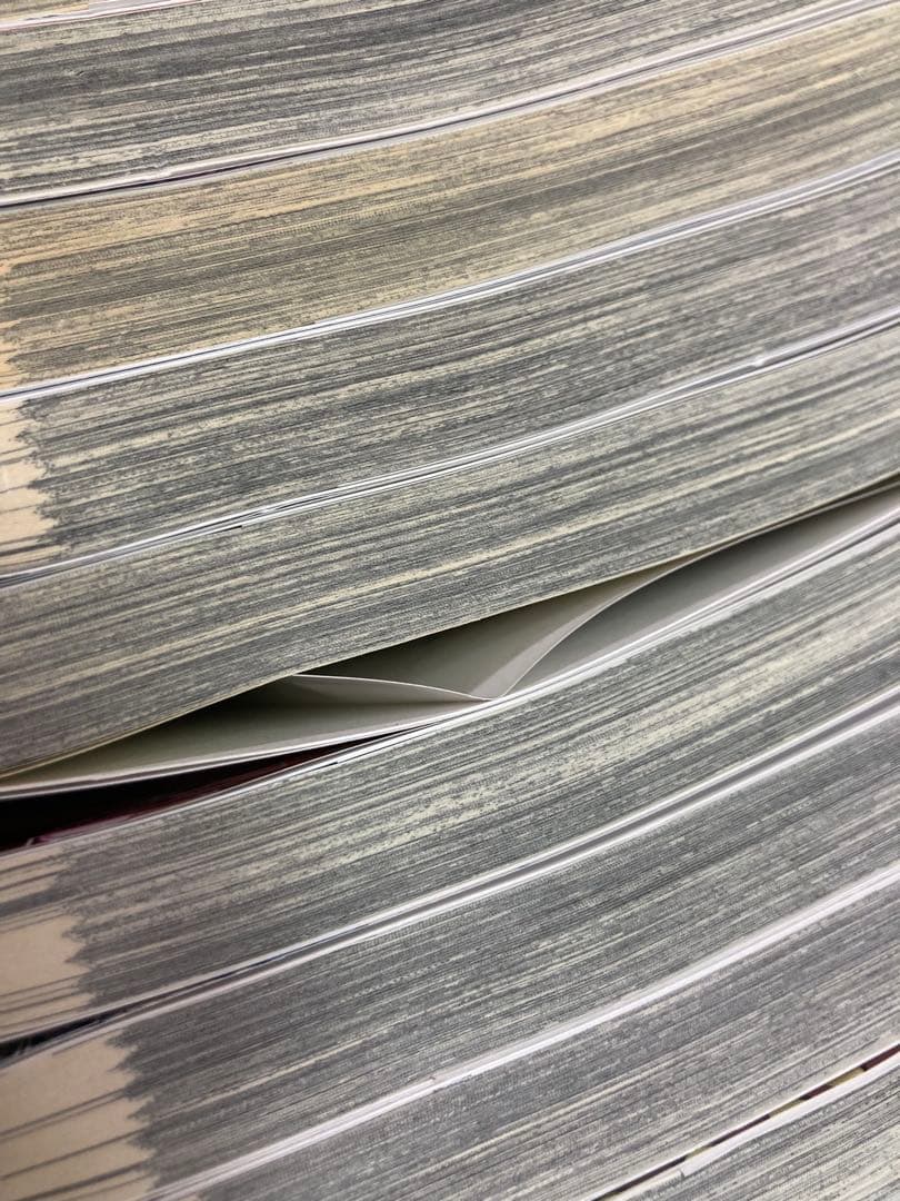 ゴールデンカムイ　３１巻　全巻