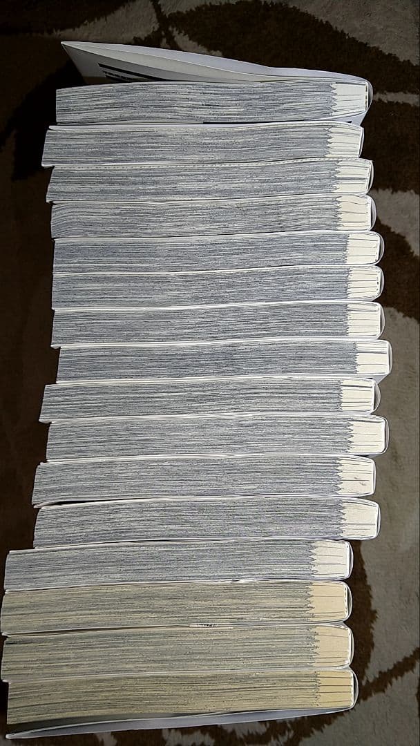 忘却のサチコ・1-24巻