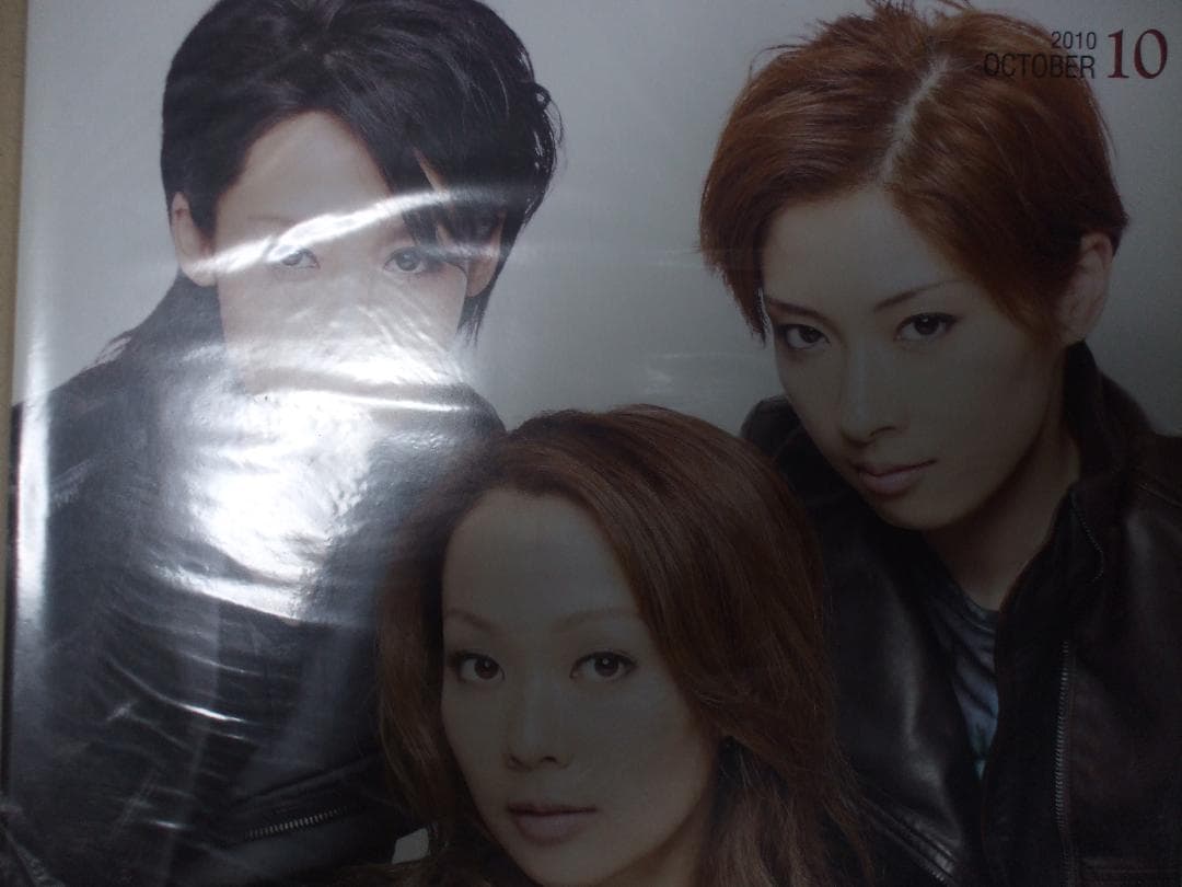 宝塚 GRAPH (グラフ) 2010年 10月号 [雑誌] 雑誌