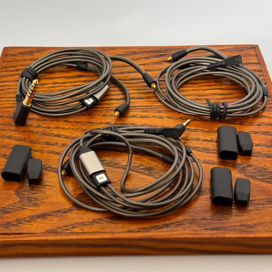 ゼンハイザー IE900 高級イヤホン 高音質 有線 純正品 2024 年製