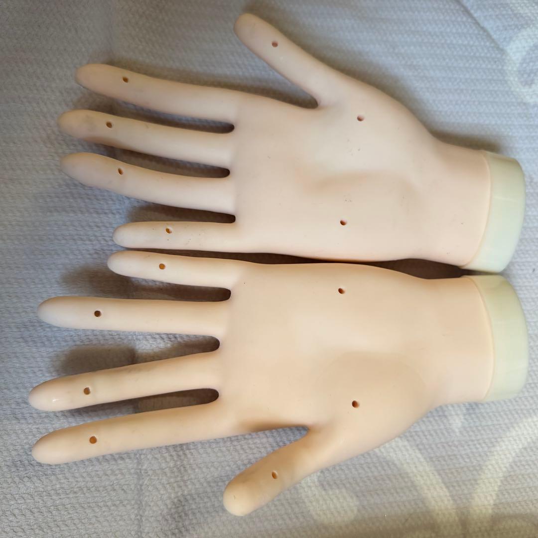 【箱無し】ネイリスト技能検定試験 JNEC認定モデルハンド 公式チップ付き