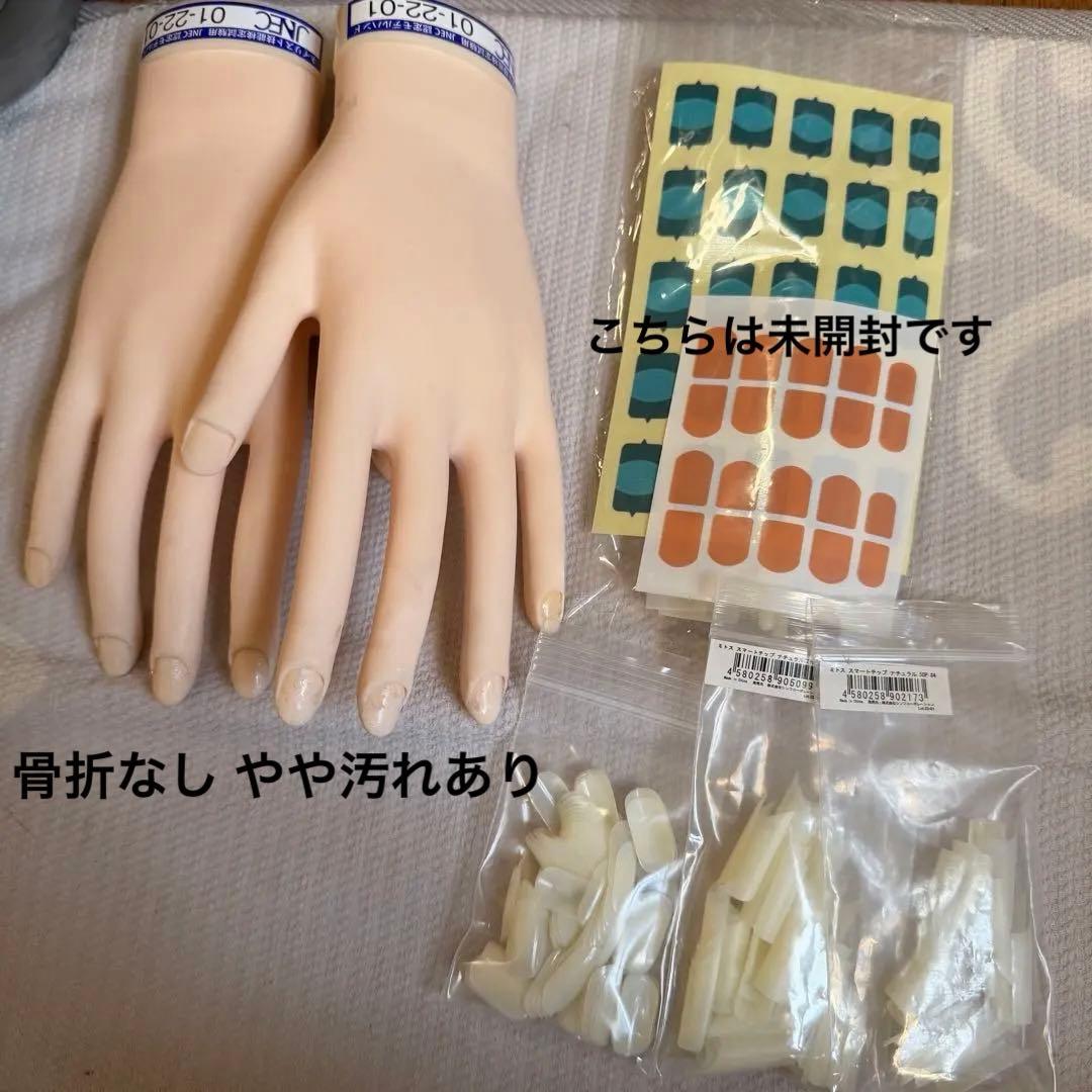 【箱無し】ネイリスト技能検定試験 JNEC認定モデルハンド 公式チップ付き