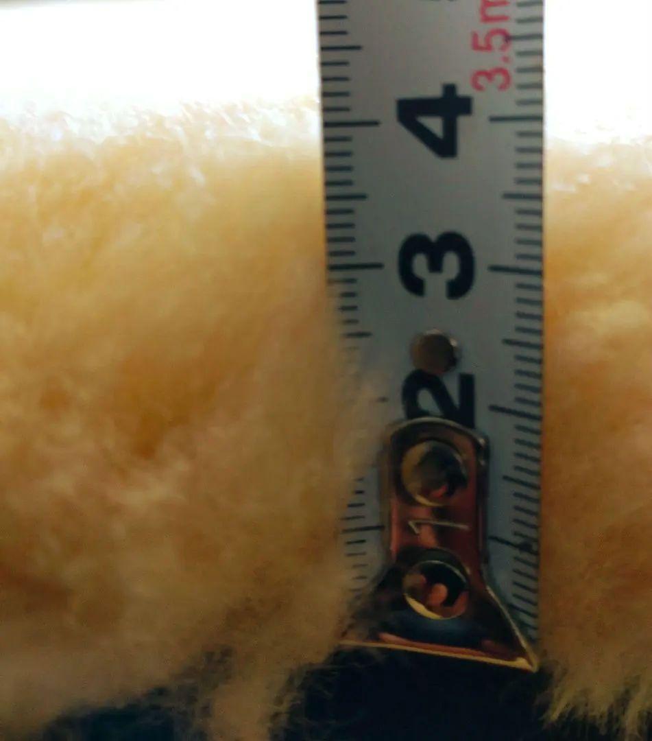 オーストラリア原皮　超高密度リミテッド・ムートン　シングル・毛足35㍉以上