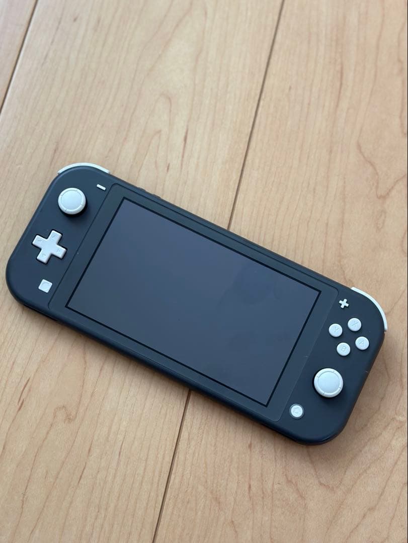 美品 Nintendo Switch Lite グレー 本体