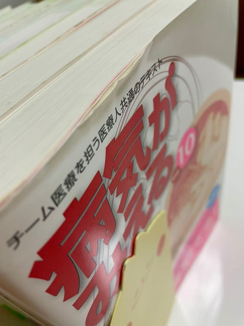 【裁断無し】病気がみえる 全10巻セット【CD付き】