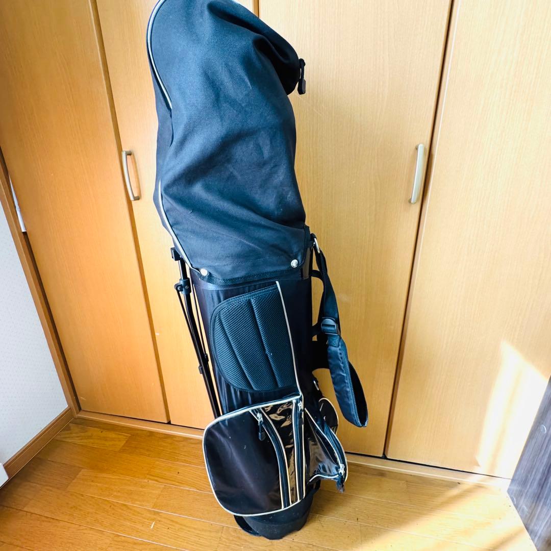 【美品】ワールドイーグル　F-01α ツアーステージ　ゴルフセット10本セット