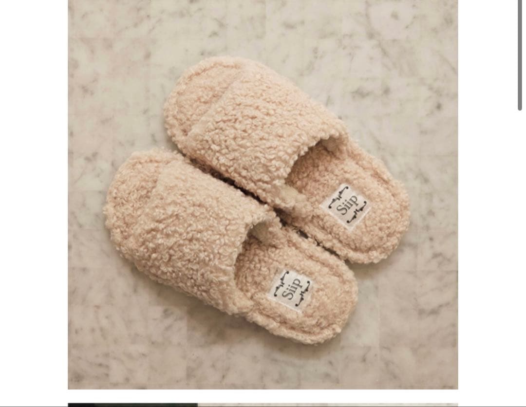 【完全生産限定盤】 Siip ガイア ダウンロードカード+GOODS