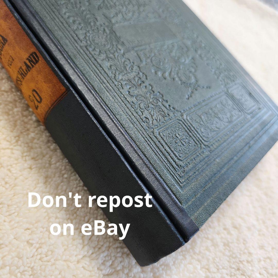 植物図鑑　洋書　ボタニカルアート　アンティーク　リトグラフ　28