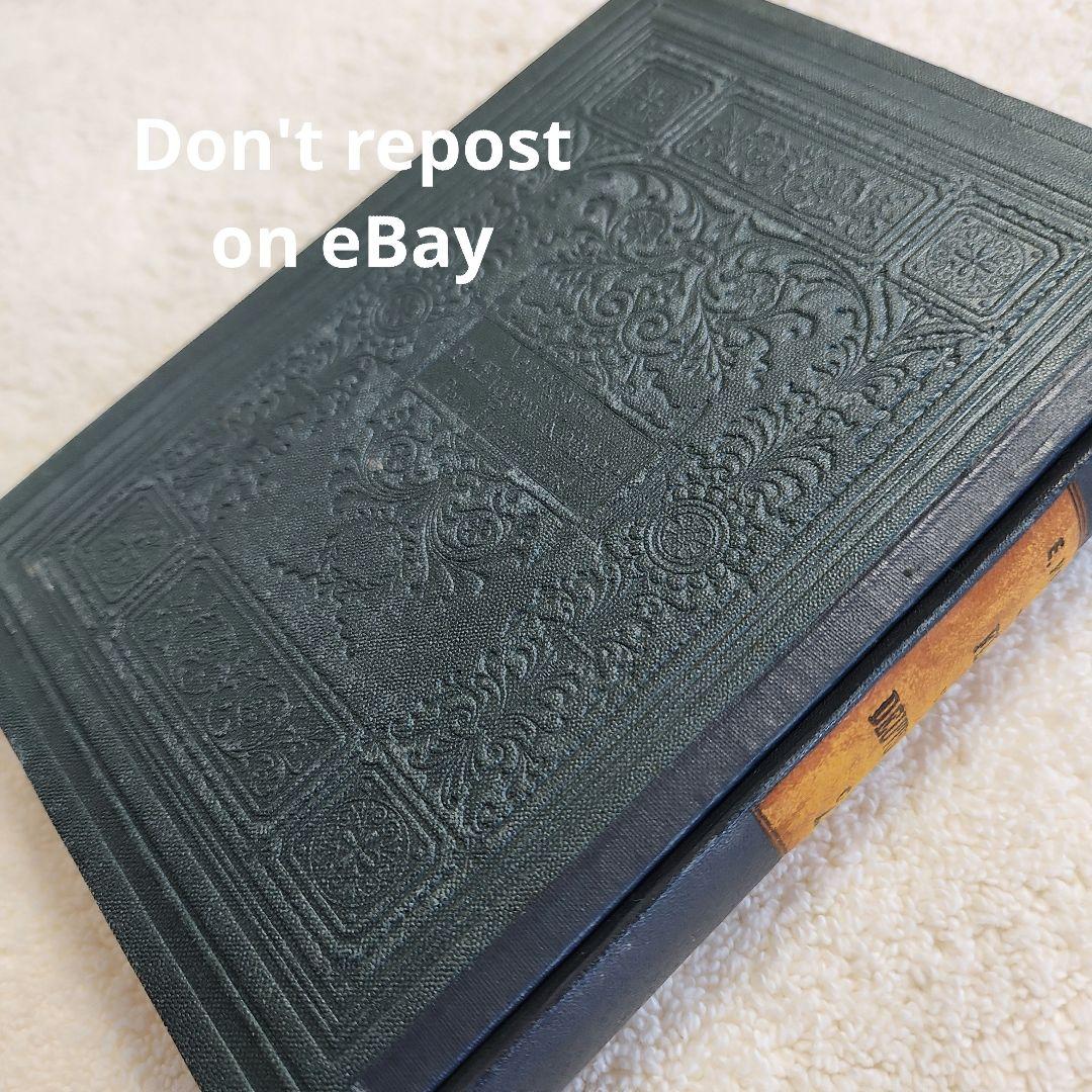 植物図鑑　洋書　ボタニカルアート　アンティーク　リトグラフ　28