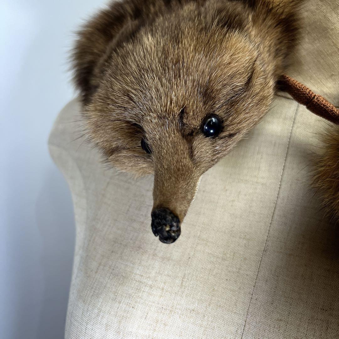 【美品】【希少】　フォックス　青狐　リアルファー　毛皮　襟巻　剥製　頭足付