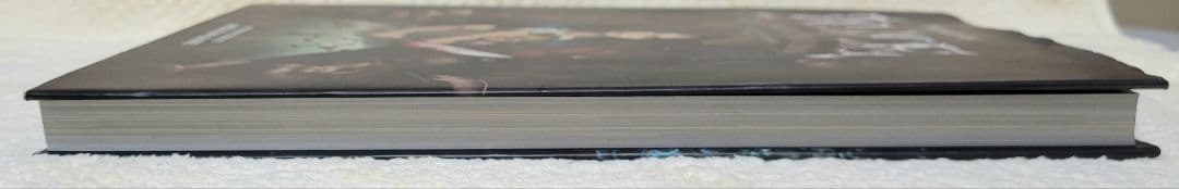 【設定資料集】アートオブアリスマッドネスリターンズ 【日本語版】