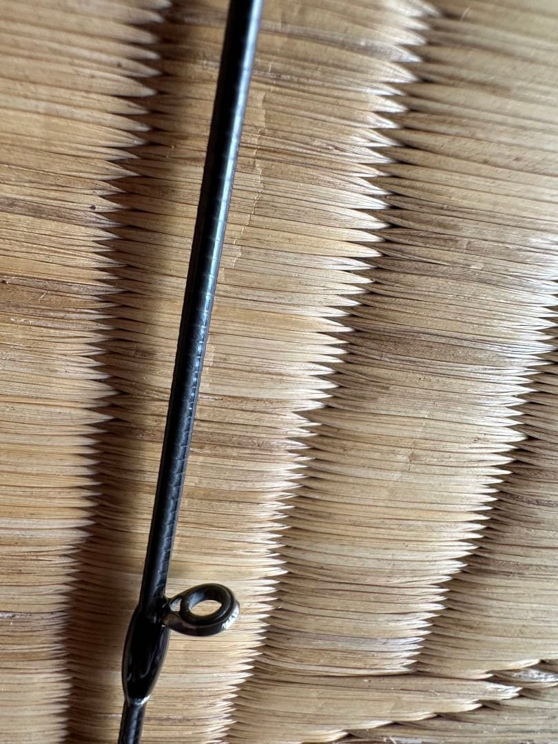 フィッシュマンビームスインテ64UL