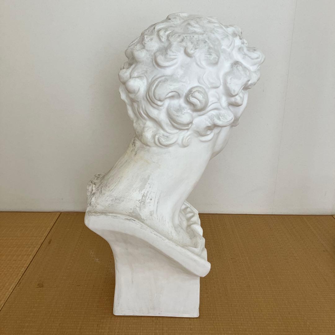 石膏像　メディチ