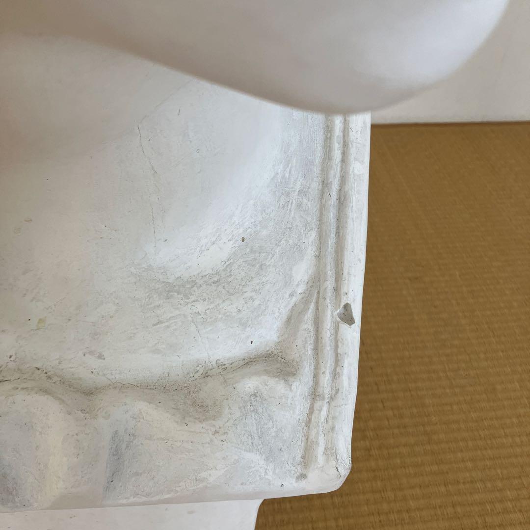 石膏像　メディチ