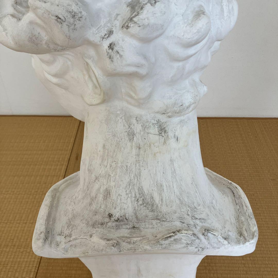 石膏像　メディチ