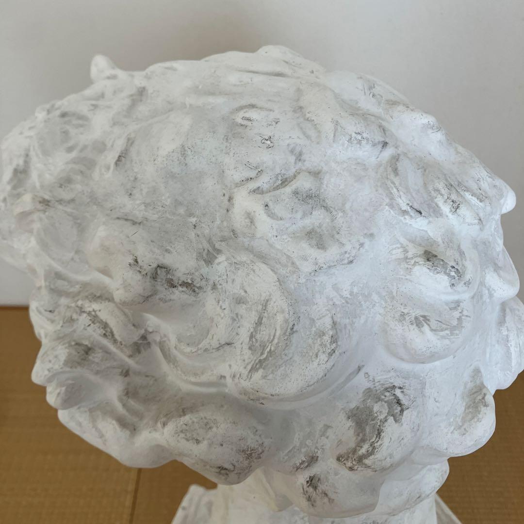 石膏像　メディチ