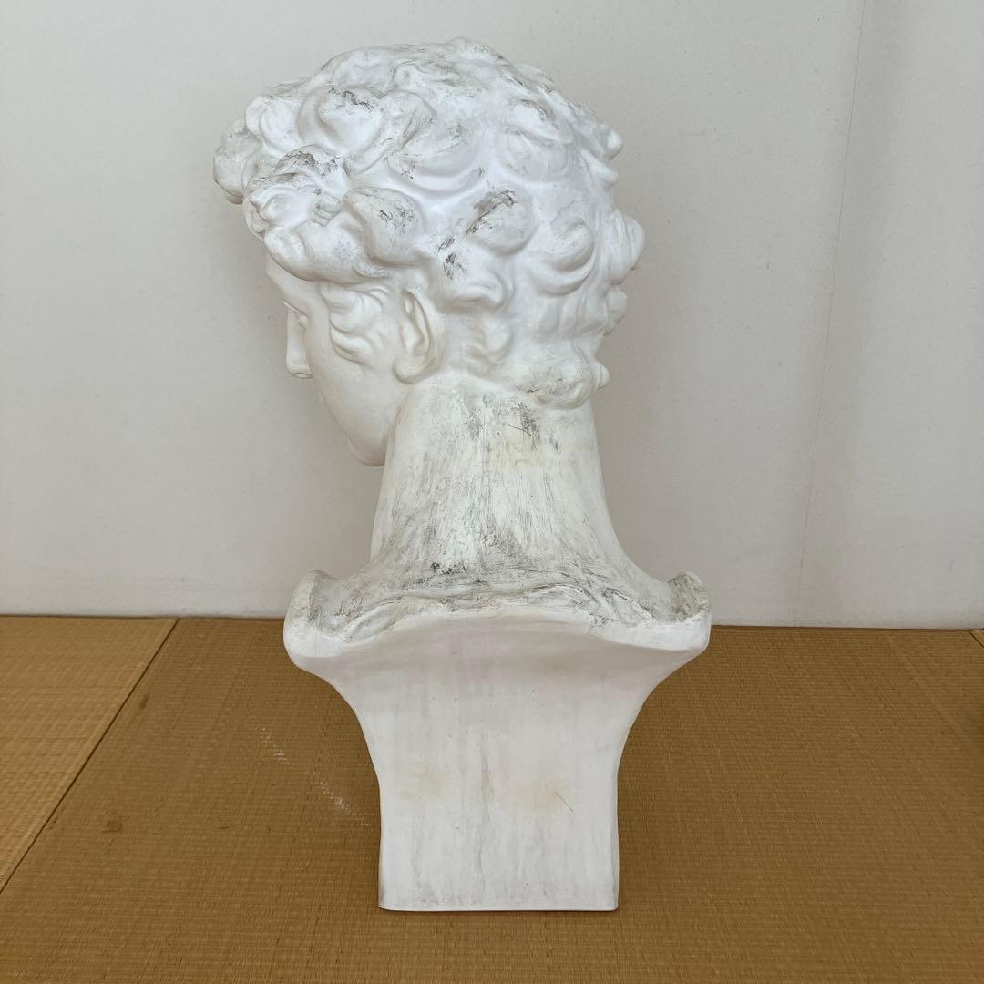 石膏像　メディチ