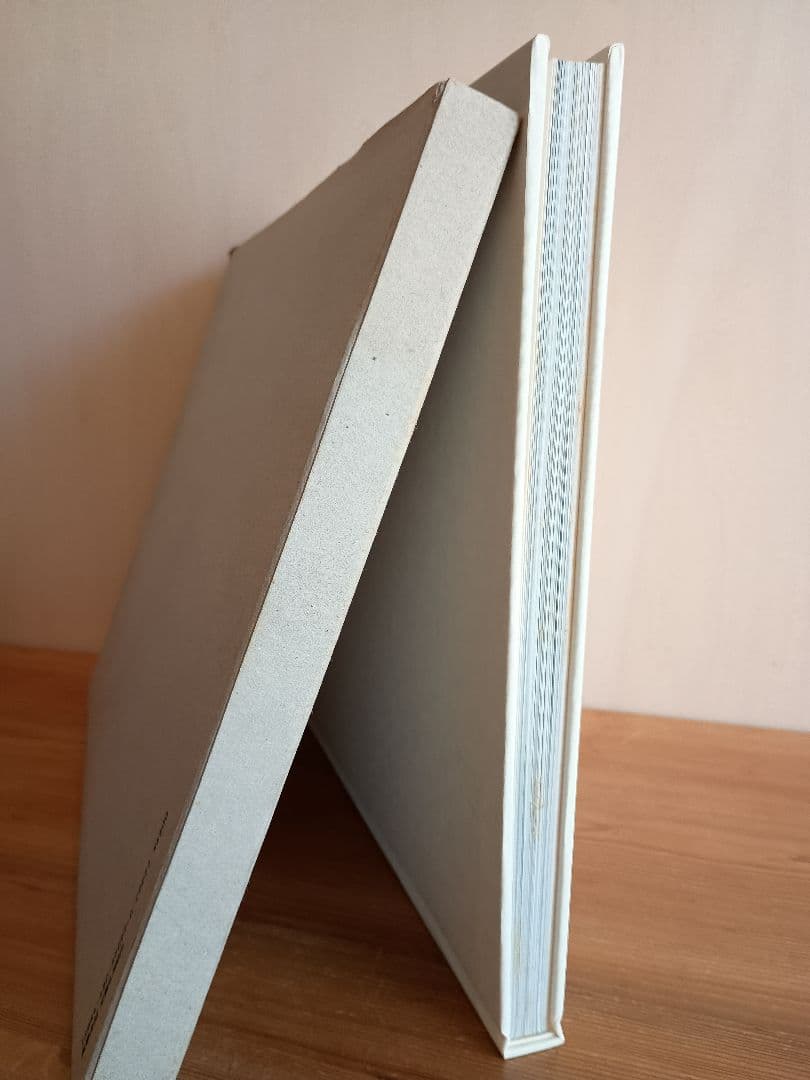 COMMEdesGARCONS コムデギャルソン 1986コレクション写真集