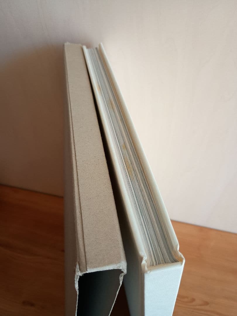 COMMEdesGARCONS コムデギャルソン 1986コレクション写真集