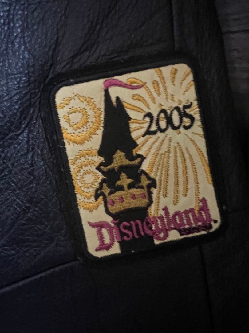 ディズニースタジャン　ディズニーランド 50周年 ジャケット　レア物