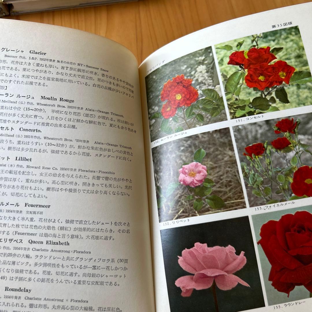 原色薔薇・洋蘭図鑑 1955年