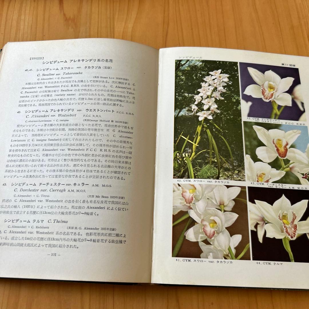 原色薔薇・洋蘭図鑑 1955年