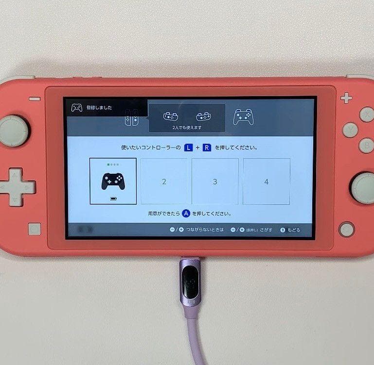 ・Nintendo Switch Lite 本体 動作品 2020 おまけ付き