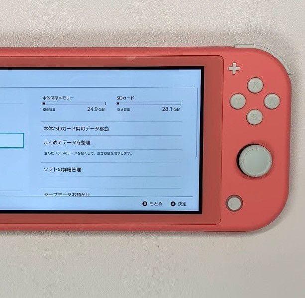 ・Nintendo Switch Lite 本体 動作品 2020 おまけ付き