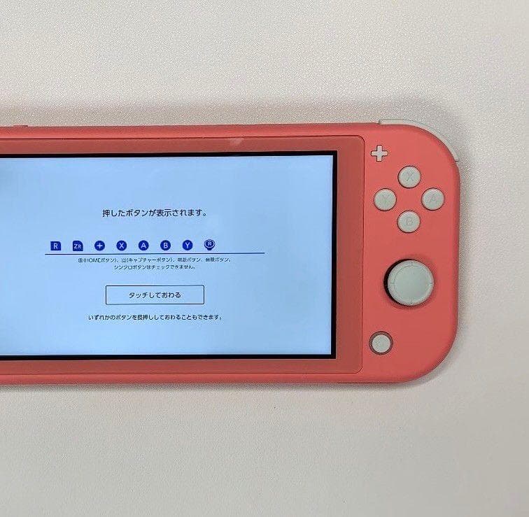 ・Nintendo Switch Lite 本体 動作品 2020 おまけ付き