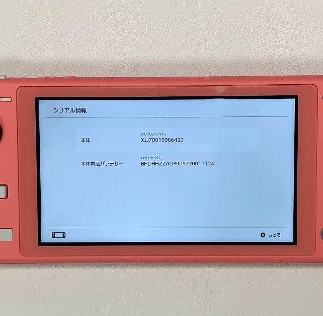 ・Nintendo Switch Lite 本体 動作品 2020 おまけ付き