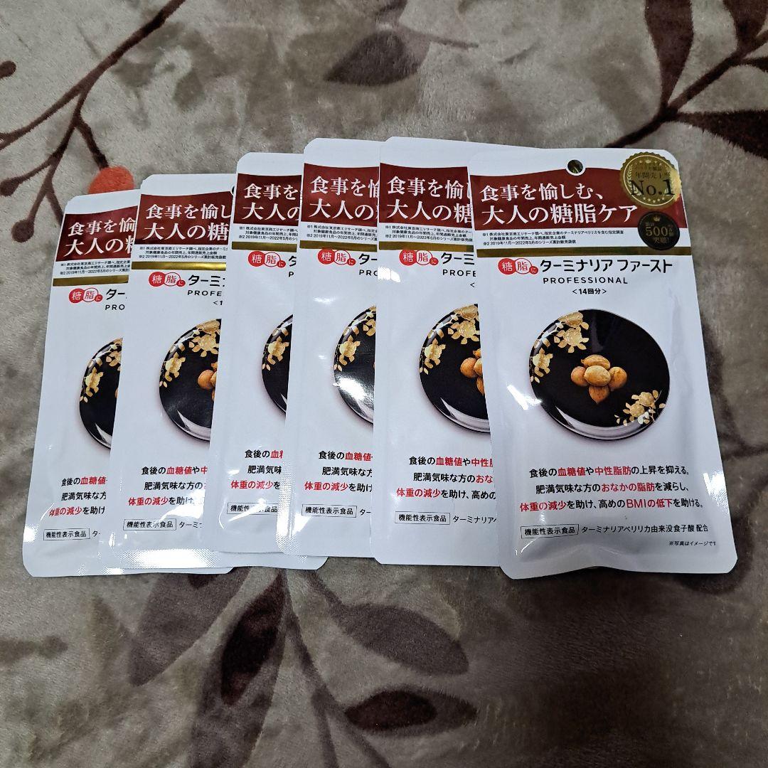大人気 新品未開封ターミナリアファースト PROFESSIONAL14回分×6袋