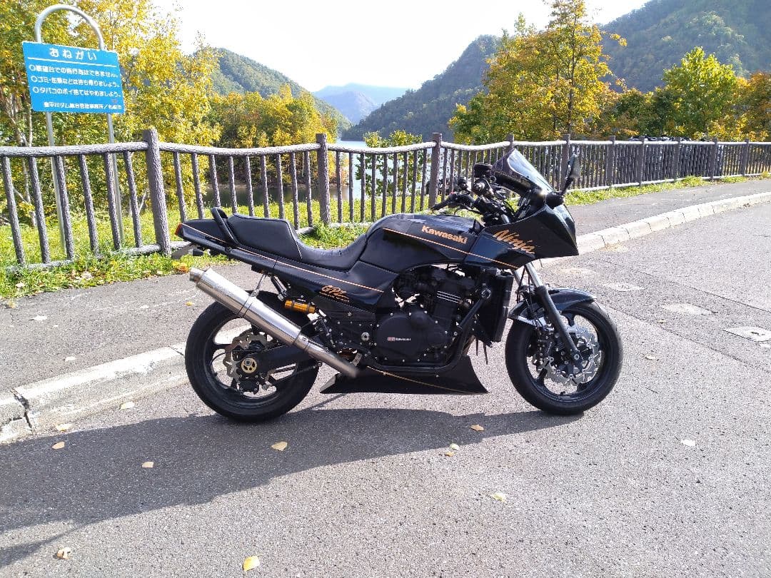 GPZ900R ARASHIブレーキローター 300mm