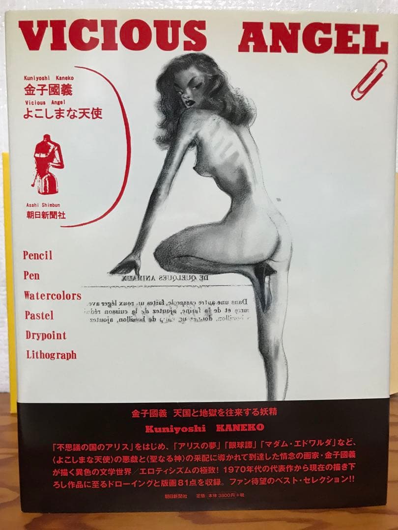 よこしまな天使　Vicious Angel　金子國義　毛筆署名落款　帯　初版