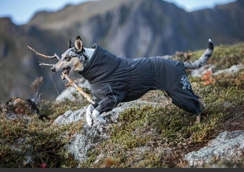 Hurtta フルッタ エクストリーム　オーバーオール　30S