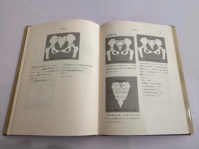 パーマー系　カイロプラクティック