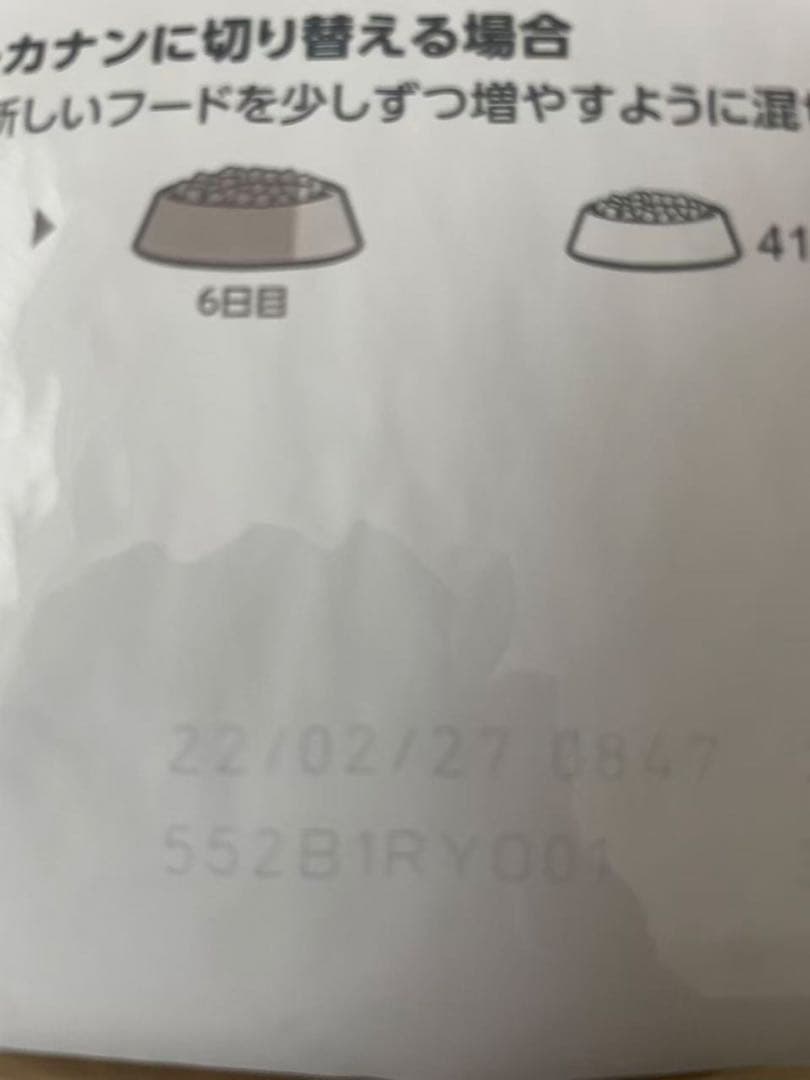  CANIN チワワ成犬 3キロ 4個セット