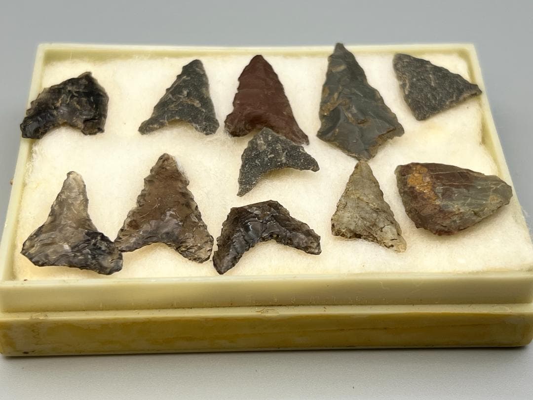 【海】石器時代 矢尻 打製石器 黒曜石 縄文時代 イグアノドン化石骨（断面）