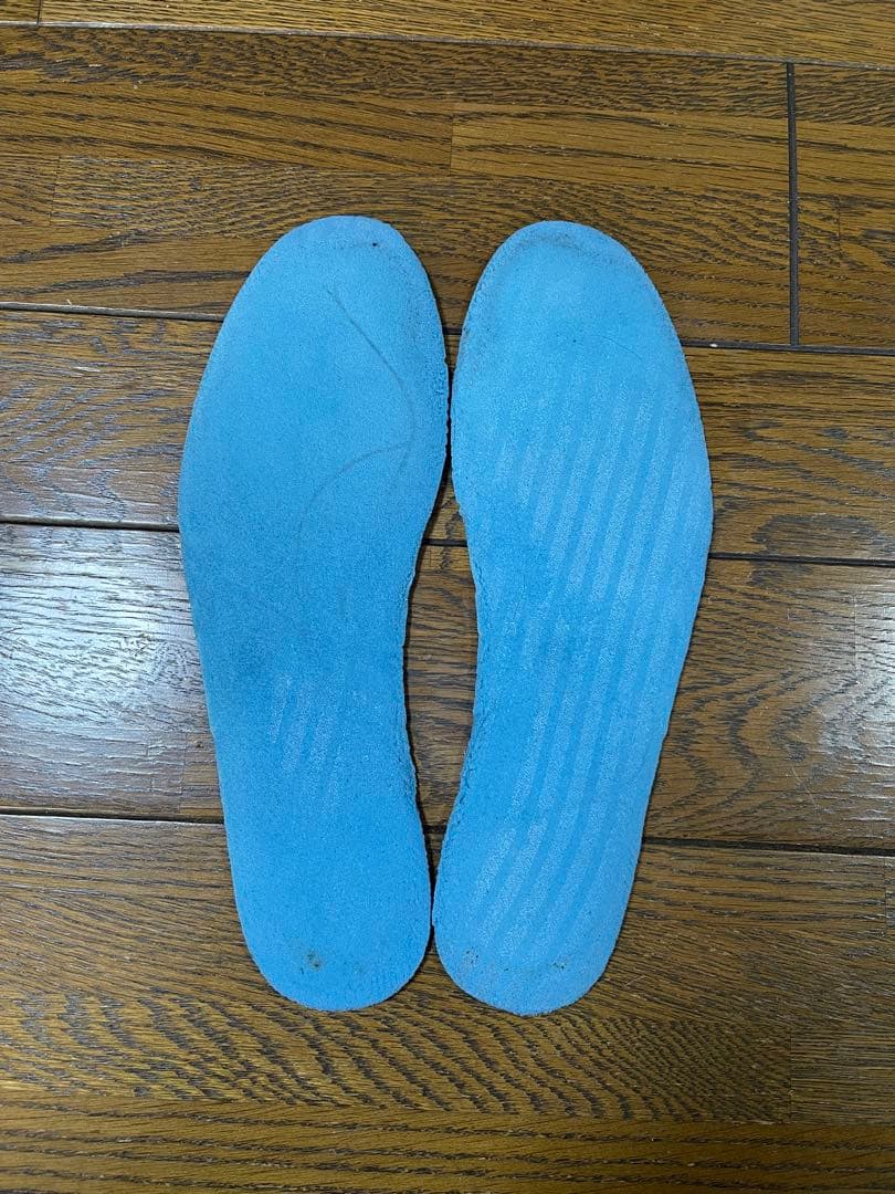 Jordan 1 リバース シャッタード バックボード 27.5cm