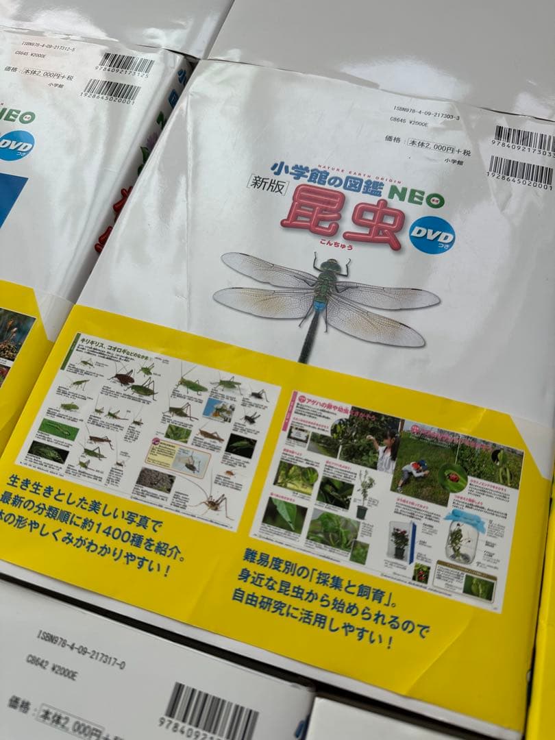 【美品】小学館の図鑑NEO 8冊セット DVD付