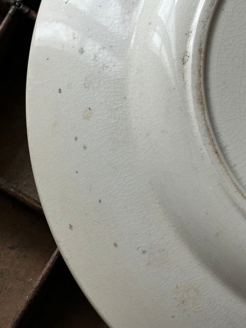 ⚫︎フランスアンティーク⚫︎ 大皿サルグミンヌ U&C Sarreguemines