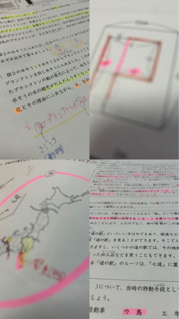 日能研 4年 育成テスト 【前期】2024年